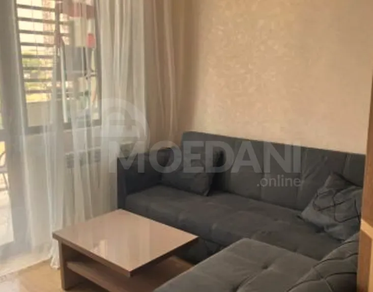 Apartments For Rent two-room 47м² 7/12 floor Tbilisi - photo 2