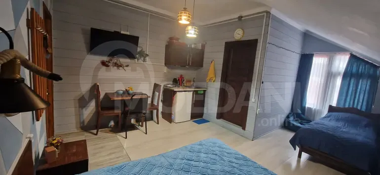 Сдам 1-комн. квартиру на сутки в Тбилиси  30м² 5/5 эт. Тбилиси - изображение 7