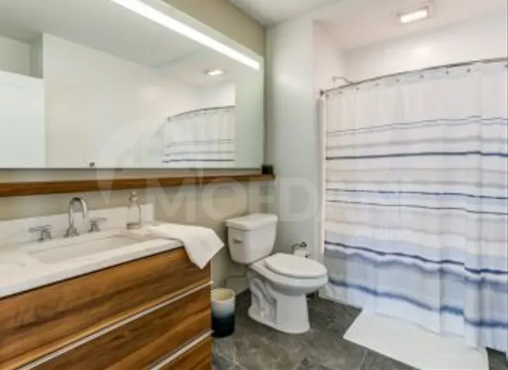 Apartments For Rent three-room 242м² 4/6 floor Tbilisi - photo 5