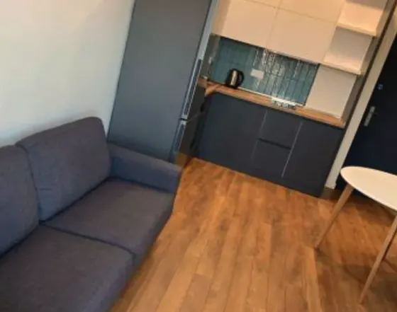 Apartments For Rent two-room 45м² 7/16 floor Tbilisi