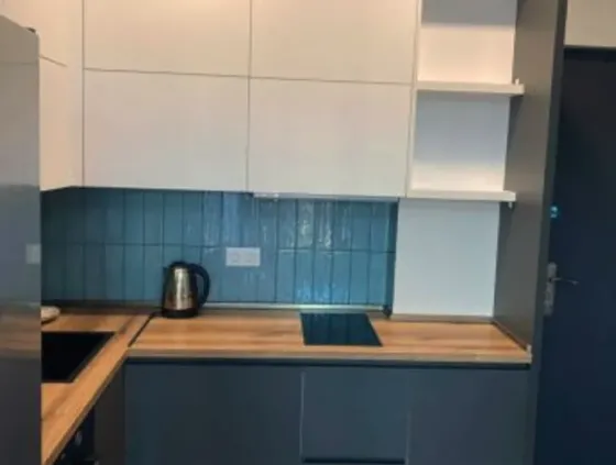 Apartments For Rent two-room 45м² 7/16 floor Tbilisi