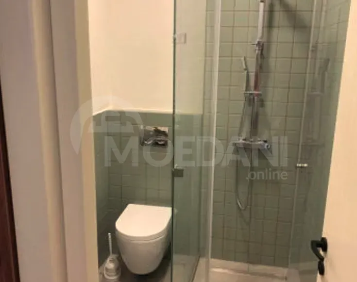 Apartments For Rent two-room 45м² 7/16 floor Tbilisi - photo 4