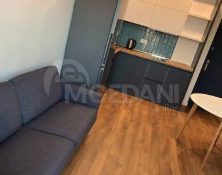 Apartments For Rent two-room 45м² 7/16 floor Tbilisi - photo 2