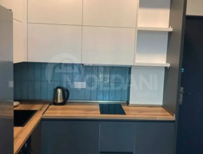 Apartments For Rent two-room 45м² 7/16 floor Tbilisi - photo 5