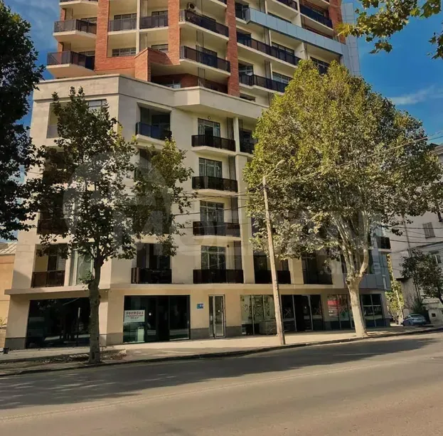 Apartments For Rent three-room 70м² 10/15 floor Tbilisi - photo 12