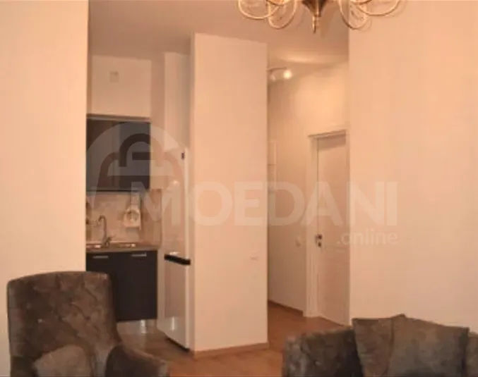 Apartments For Rent two-room 64м² 11/23 floor Tbilisi - photo 9