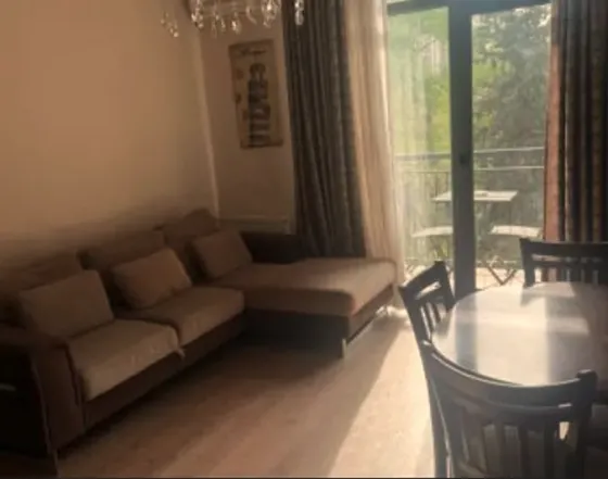 ქირავდება 2 ოთახიანი ბინა 55მ² 4/21 სართ თბილისი