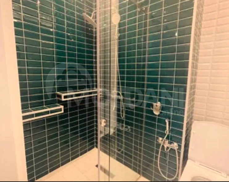 Apartments For Rent two-room 55м² 9/24 floor Tbilisi - photo 4