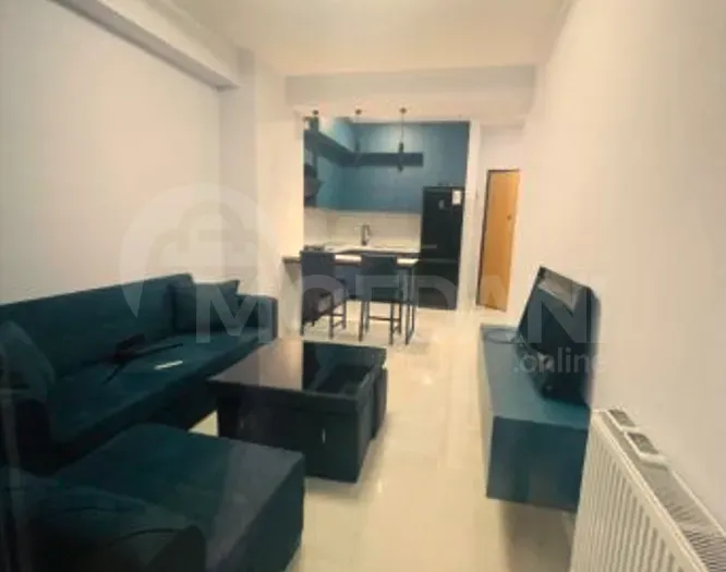 Apartments For Rent two-room 55м² 9/24 floor Tbilisi - photo 10