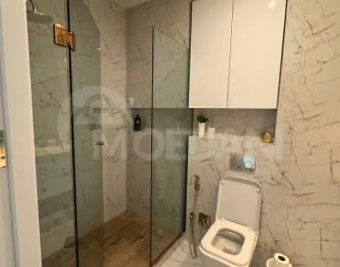 Apartments For Rent three-room 150м² 13/24 floor Tbilisi - photo 11