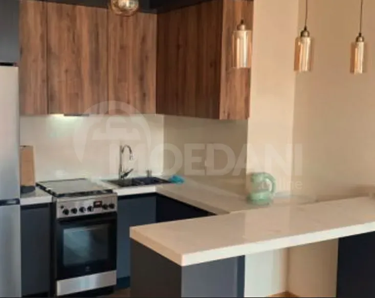 Сдам 2-комн. квартиру 54м² 16/24 эт. Тбилиси - изображение 10