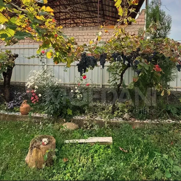 Продам Дом 300м² Гори - изображение 11