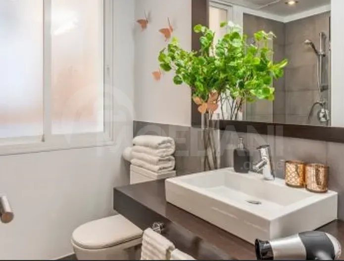 Apartments For Rent five-room 223м² 4/6 floor Tbilisi - photo 3