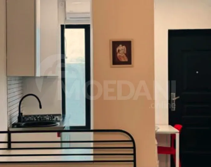 Apartments For Rent one-room 30м² 1/2 floor Tbilisi - photo 4