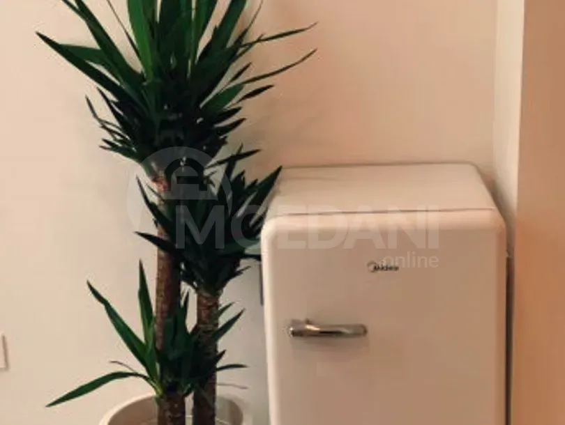 Apartments For Rent one-room 30м² 1/2 floor Tbilisi - photo 5