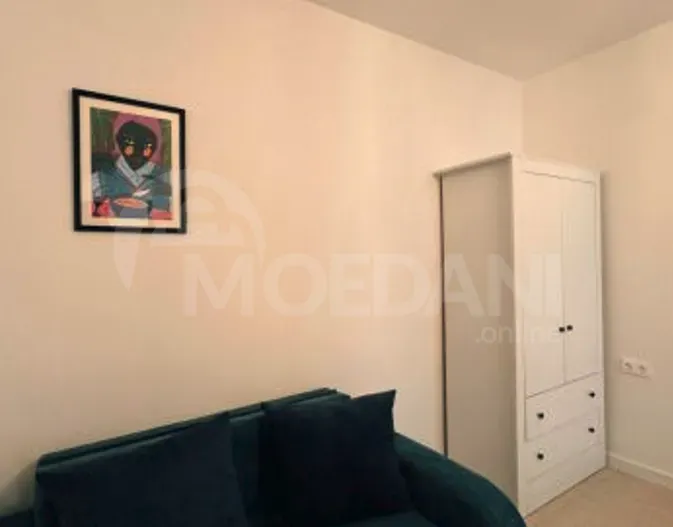 Apartments For Rent one-room 30м² 1/2 floor Tbilisi - photo 7