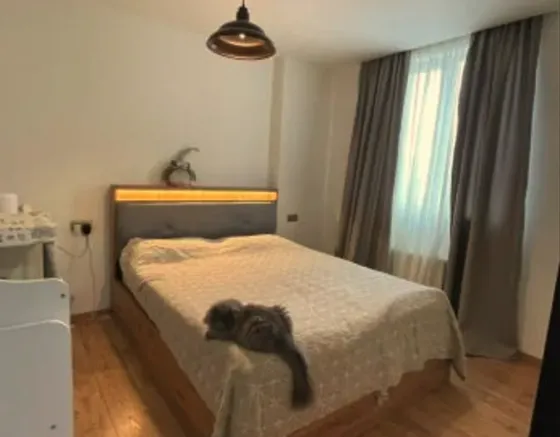 Apartments For Rent three-room 68м² 8/16 floor Tbilisi