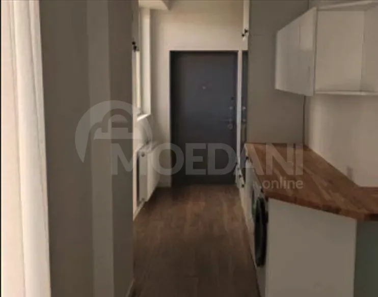 Apartments For Rent two-room 65м² 13/13 floor Tbilisi - photo 2