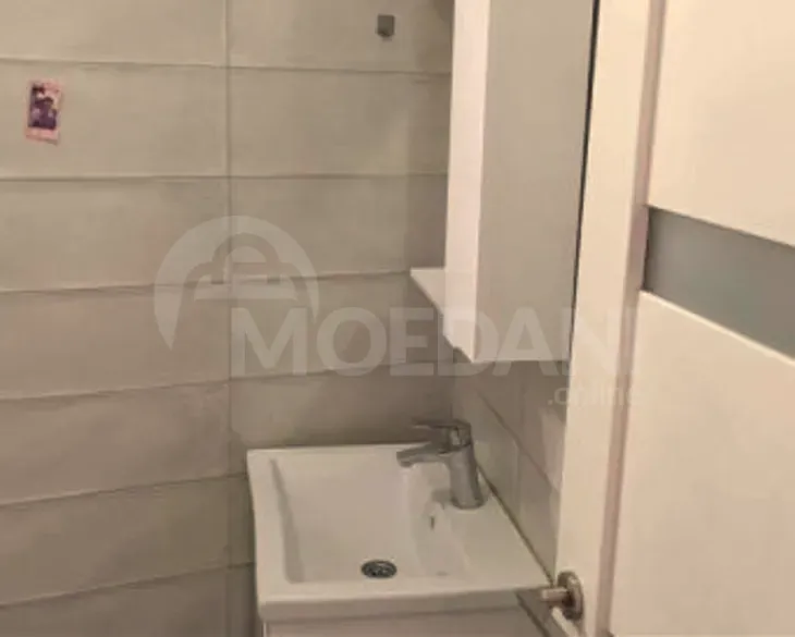 Apartments For Rent two-room 65м² 13/13 floor Tbilisi - photo 3