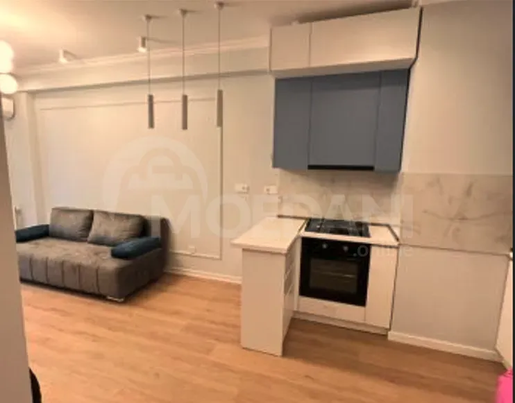 Apartments For Rent two-room 53.7м² 12/16 floor Tbilisi - photo 9