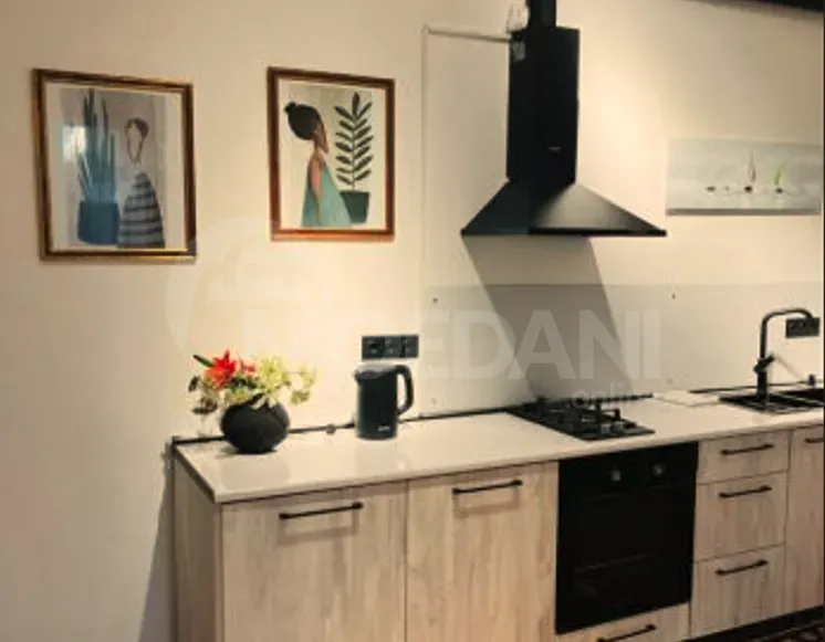 ქირავდება 2 ოთახიანი ბინა 55მ² 1/14 სართ თბილისი - photo 6