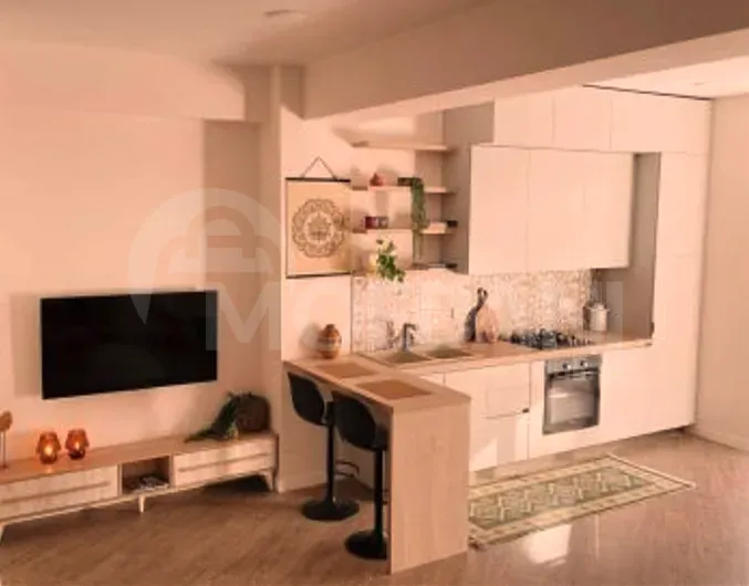 ქირავდება 2 ოთახიანი ბინა 72მ² 2/12 სართ თბილისი - photo 1