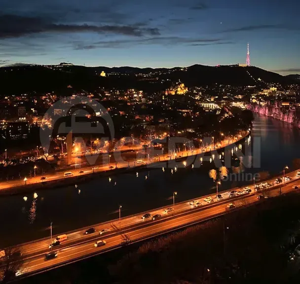 Apartments For Rent three-room 280м² 10/10 floor Tbilisi - photo 10