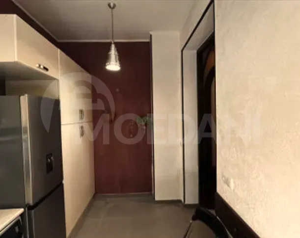 Apartments For Rent two-room 50м² 1/2 floor Tbilisi - photo 12