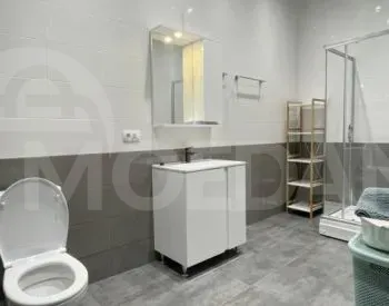 Apartments For Rent four-room 196м² 13/13 floor Tbilisi - photo 6