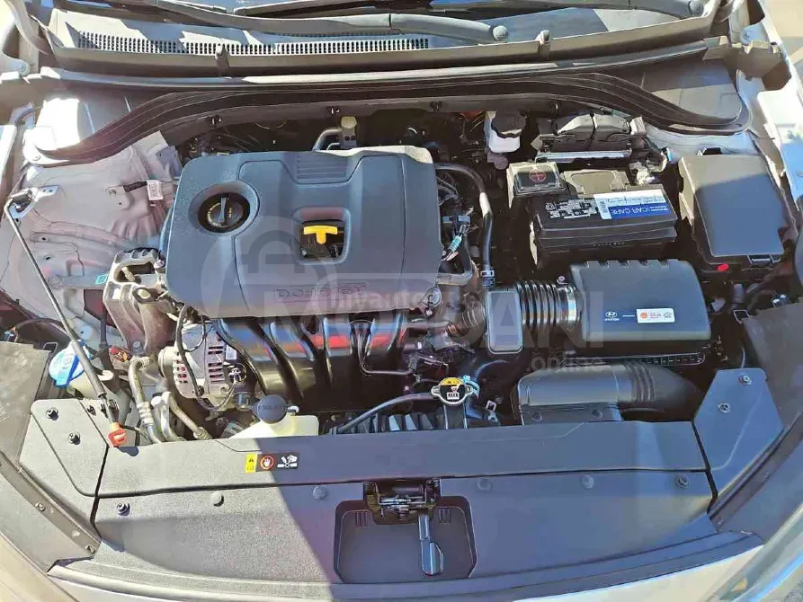 Hyundai Elantra 2019 Tbilisi - photo 6