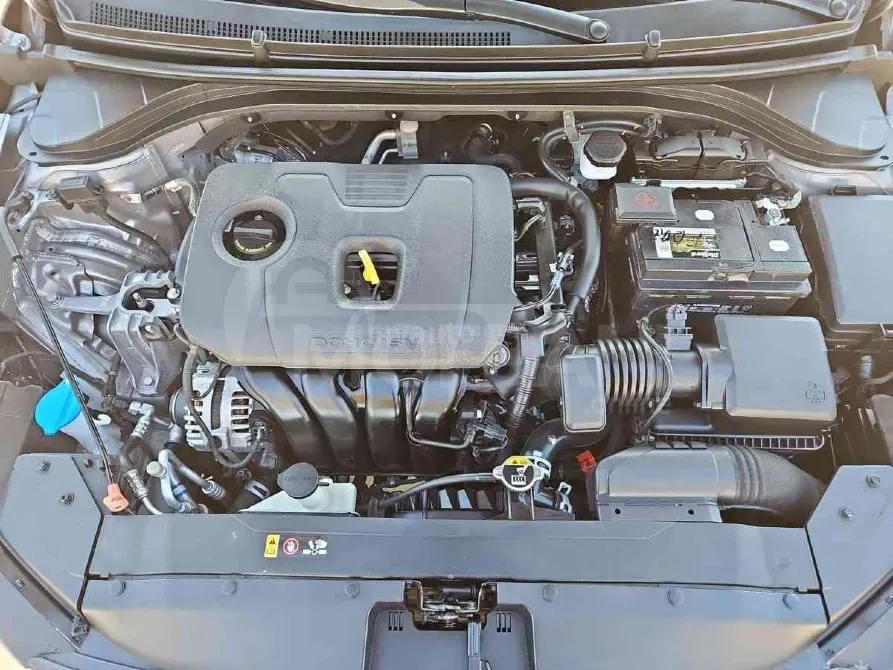 Hyundai Elantra 2020 Tbilisi - photo 7