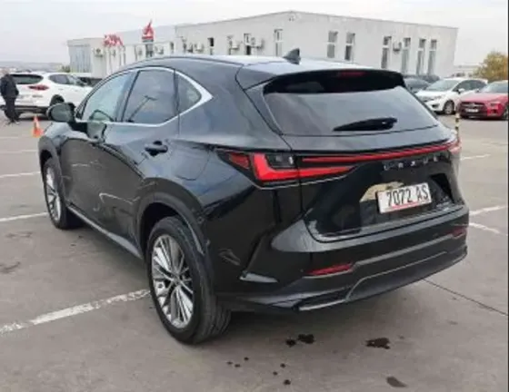 Lexus NX 2022 თბილისი