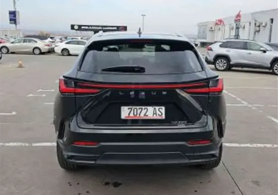 Lexus NX 2022 თბილისი