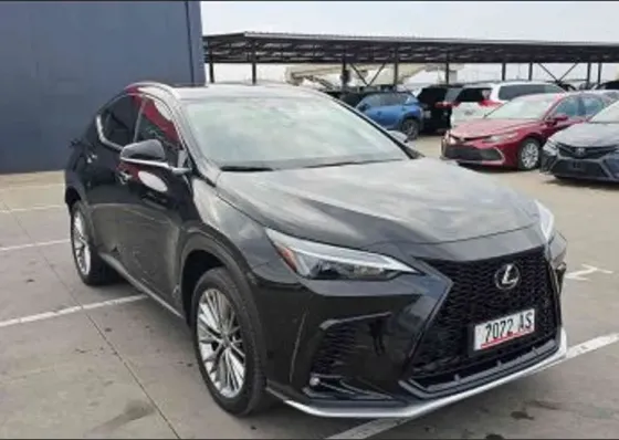 Lexus NX 2022 თბილისი