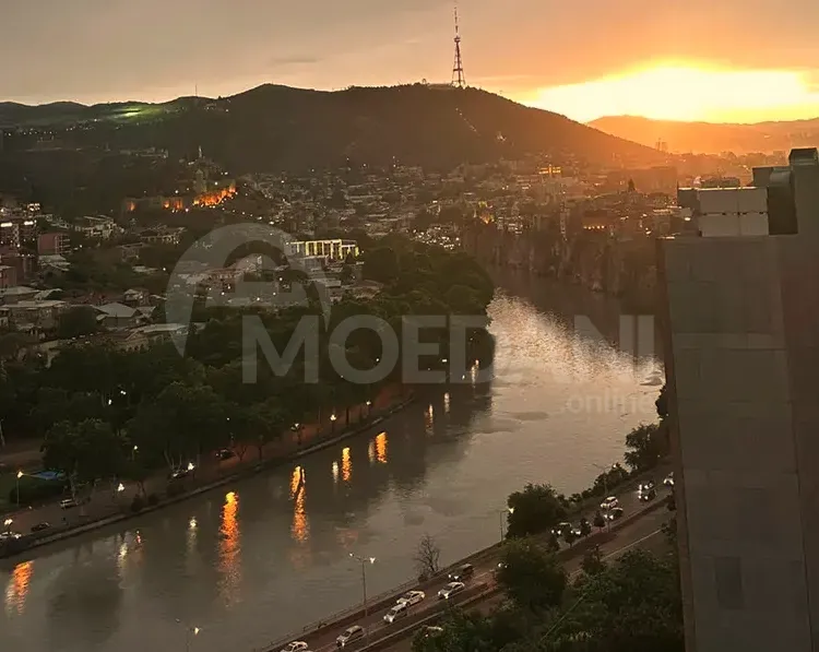 Apartments For Rent three-room 280м² 10/10 floor Tbilisi - photo 10