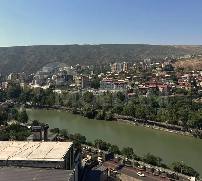 Apartments For Rent three-room 280м² 10/10 floor Tbilisi - photo 5