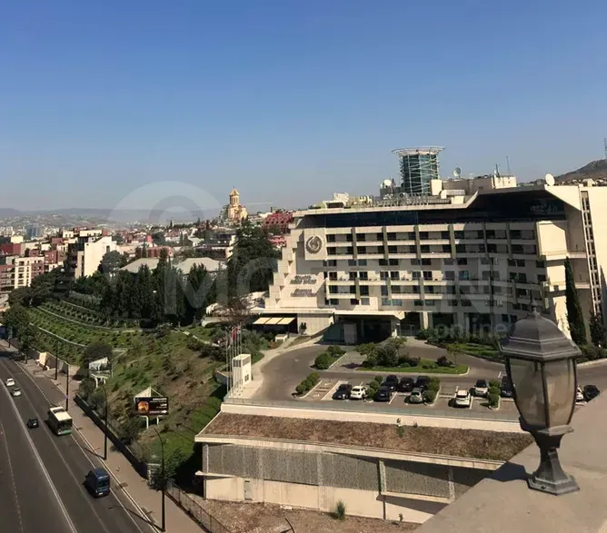 Apartments For Rent three-room 280м² 10/10 floor Tbilisi - photo 6