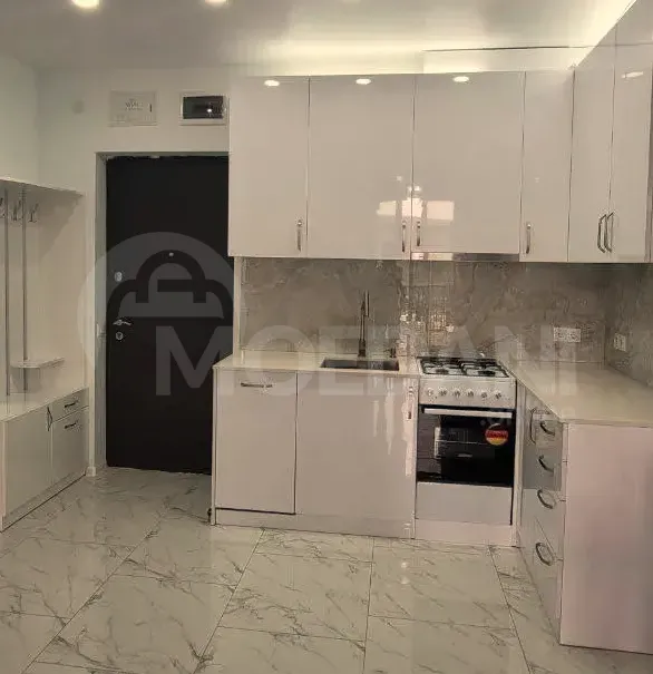 Сдам 2-комн. квартиру 52м² 22/22 эт. Тбилиси - изображение 4