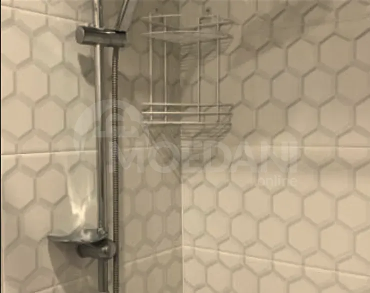 Apartments For Rent two-room 60м² 8/11 floor Tbilisi - photo 7