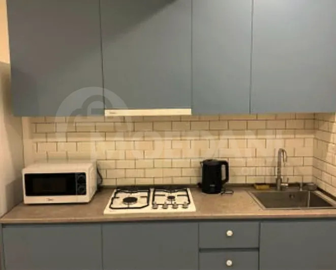 Apartments For Rent two-room 60м² 8/11 floor Tbilisi - photo 2