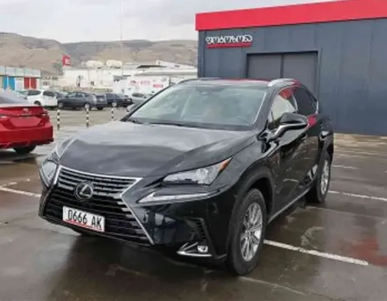 Lexus NX 2021 თბილისი