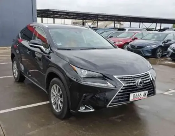 Lexus NX 2021 თბილისი