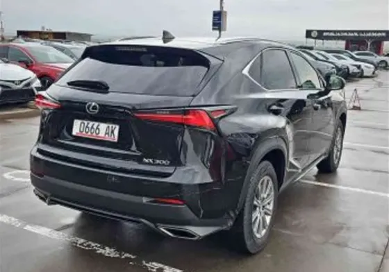 Lexus NX 2021 თბილისი