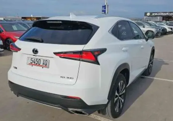 Lexus NX 2020 თბილისი