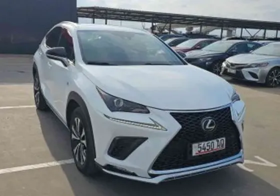 Lexus NX 2020 თბილისი