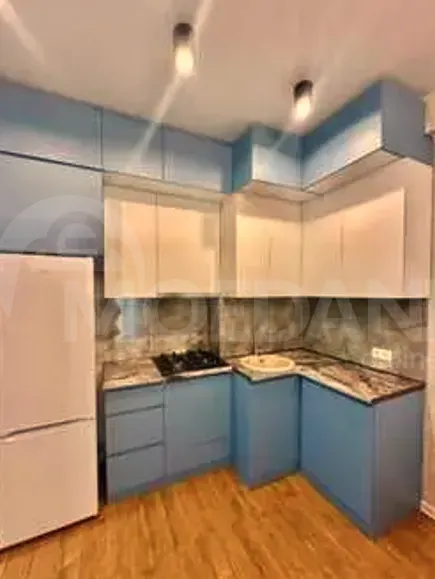 Apartments For Rent two-room 55м² 3/8 floor Tbilisi - photo 2