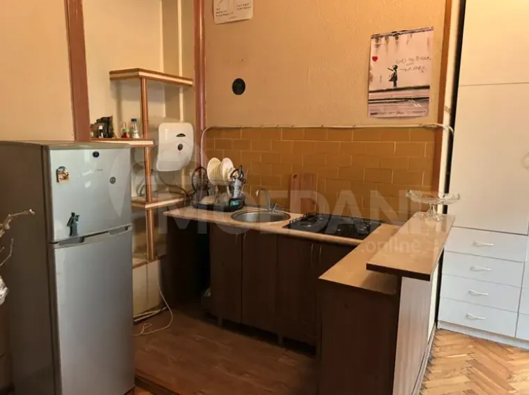 Apartments For Rent two-room 45м² 2/2 floor Tbilisi - photo 4