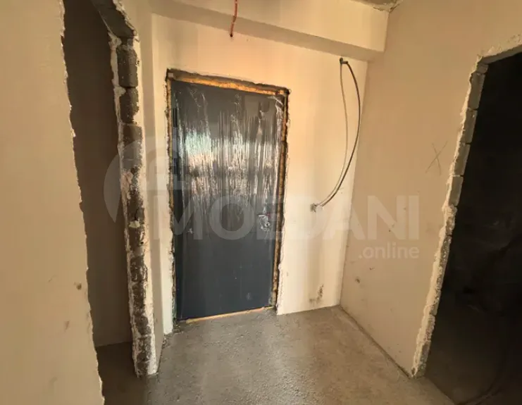 Apartments For Sale two-room 50м² 12/12 floor Tbilisi - photo 9