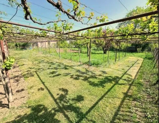 Продам земельный участок 1000м² Mckheta - photo 3