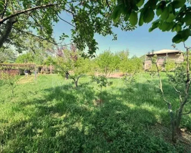 Продам земельный участок 1000м² Mckheta - photo 4